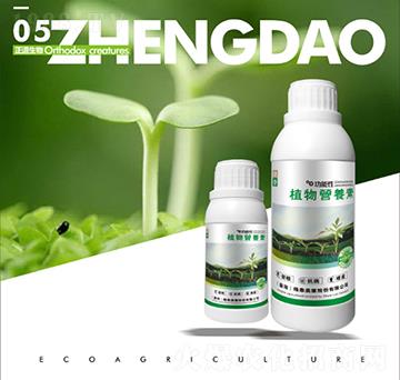 ֲ��I�B(y��ng)��-��������