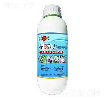 ���ׄ�(d��ng)��-�»�