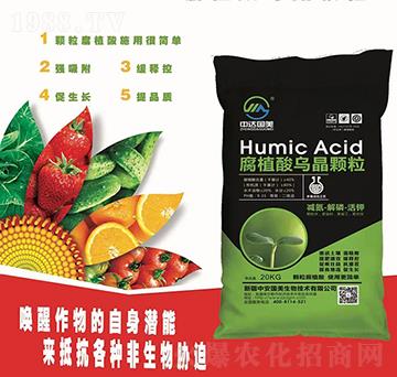 ��ֲ������w��-�а�����