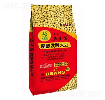 ����������l(f��)�ʹ�-�l(f��)ؔ(c��i)��