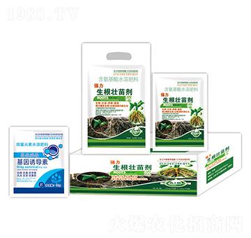 ��(qi��ng)���������焩+�����T��(d��o)��-�ֵϾ�