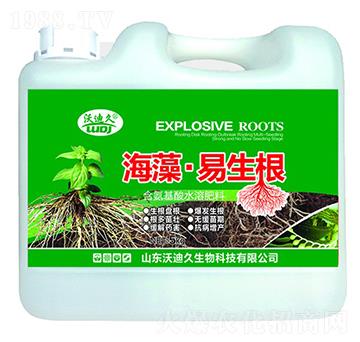 ���塤������-�ֵϾ�