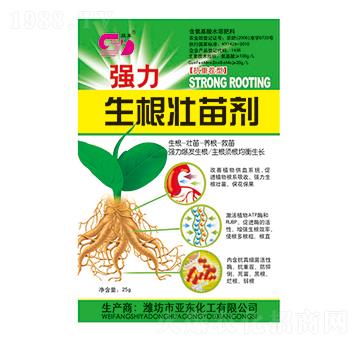 �����������焩-�p�|-���|����