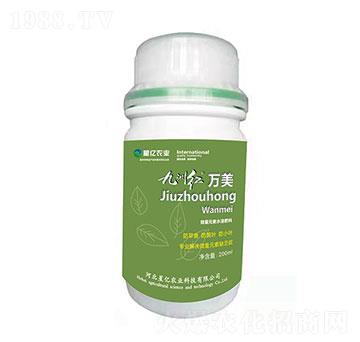 九洲紅萬美-星億農(nóng)業(yè)