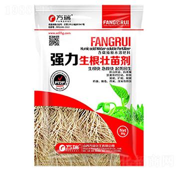 �����������焩-����