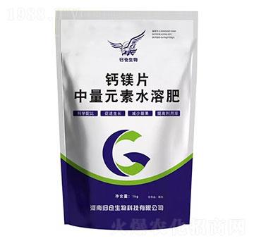 �}�VƬ-�w�}(c��ng)����