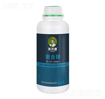 �ۺ��\-Ӣؐ��