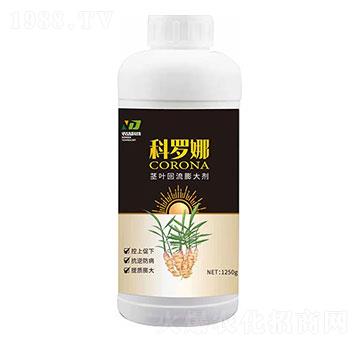 �o�~�������-���_��-����r(n��ng)��