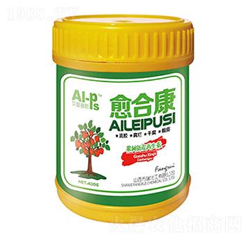 ���Ͽ�-����