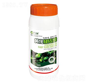 �S�����D(zhu��n)�G-����