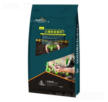 �����ޏ;���-ʩ����-���d����