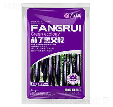 茄子黑又靚-方瑞