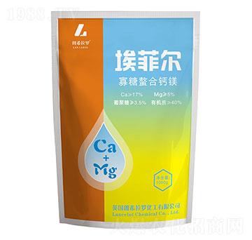 ���������}�V-���Ơ�-�����S