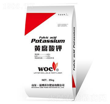 �S�����-�֠�