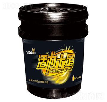 ����ʮ��-�֠�