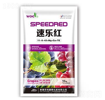 �٘��t11-0-43+Mg+Ca+TE-�֠�