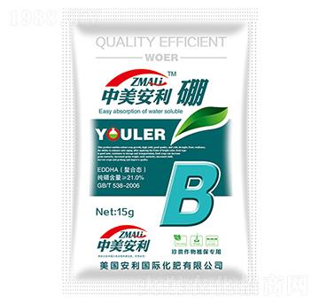 ����������-�֠�