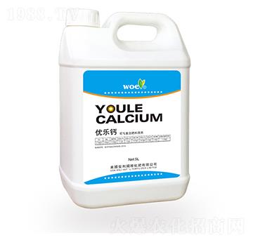 ��(y��u)��(l��)�}-�֠�