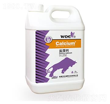 �}���}-�֠�