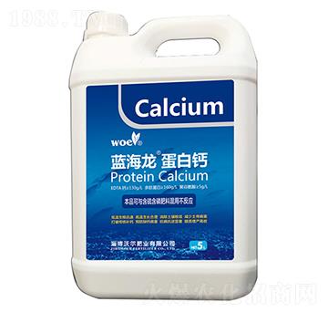 �{(l��n)���������}-�֠�