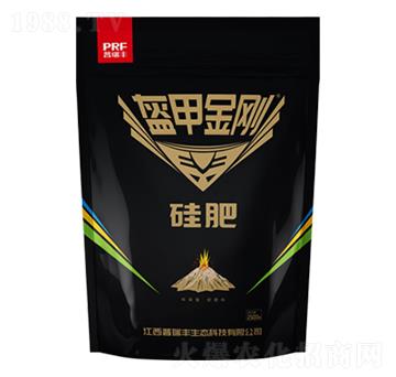 ���׽���-���-�����S