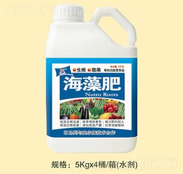 �����-�fȪ�r��