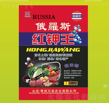 ���_˹�t���-�f(w��n)Ȫ�r(n��ng)��