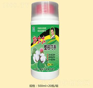 好太太整枝巧手-萬泉農(nóng)化