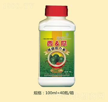 �������������-�f(w��n)Ȫ�r(n��ng)��