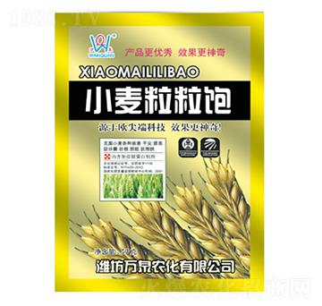 С�������-�fȪ�r(n��ng)��