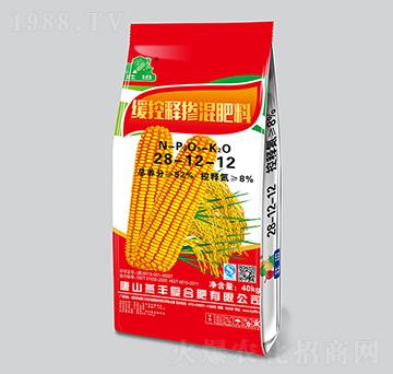 ����ጓ������28-1