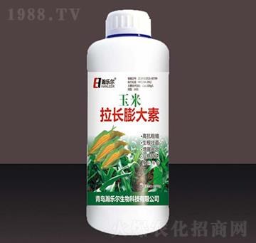 �������L�����-嫘���