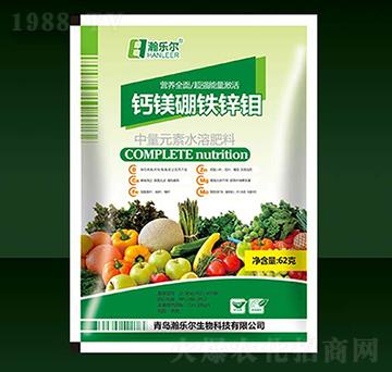 �}�V���F�\�f-嫘�(l��)��