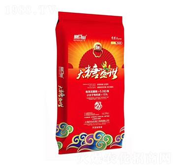 ���������ʢ��-�������