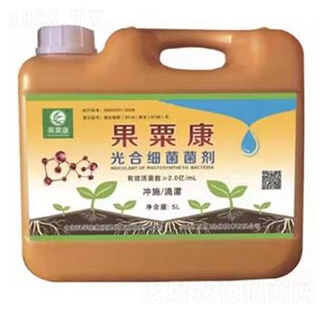 ��ϼ�������-���ڿ�