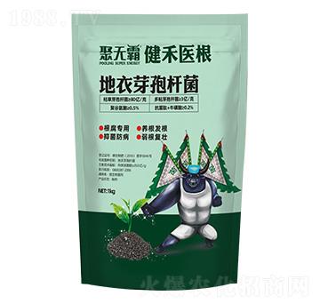 �����t(y��)������ѿ�ߗU��-�۟o��