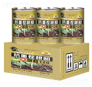 ���ز��������120����-�fȪ�r��