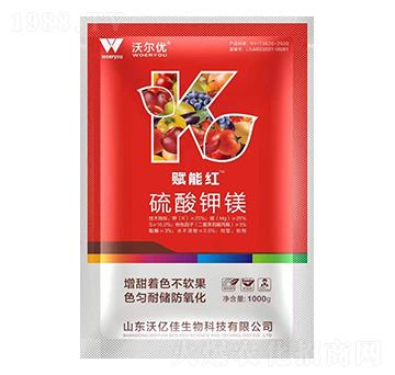 ������V-�x�ܼt-�֠���(y��u)