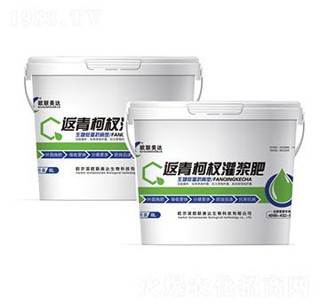 �����边��{��-�W���_