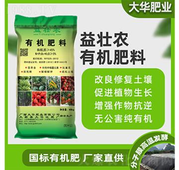 �ЙC(j��)����-����r(n��ng)-���A����