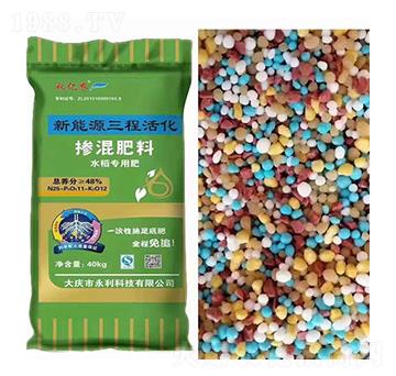 �������25-11-12-��|�r-�����Ƽ�