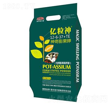 �������⛣�����������}�ͣ�12-6-37+TE-�|����-(li��n)�r(n��ng)���S��