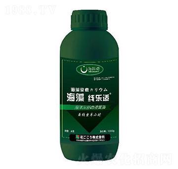 ���往���m-������