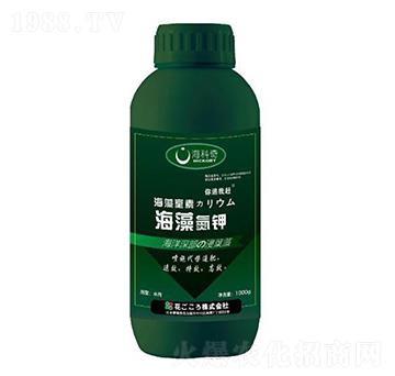 ���嵪�-������