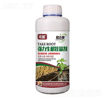 1000g�g�ܡ����_(d��)���������������焩-����˹