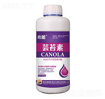 1000g�g�ܡ��|̦��-����˹