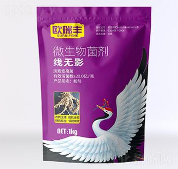 ΢�������-���oӰ-�W���S