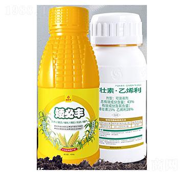 �|���؅^(q��)�������׿������a(ch��n)��-���װ����S-����S