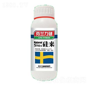 ���-����������