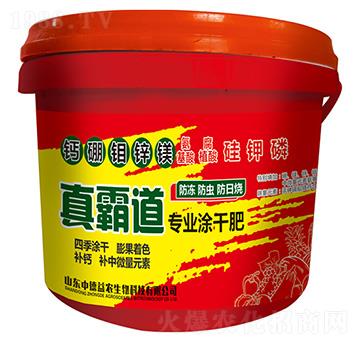 ��Ե���(zhu��n)�I(y��)Ϳ�ɷ�-�е����r(n��ng)